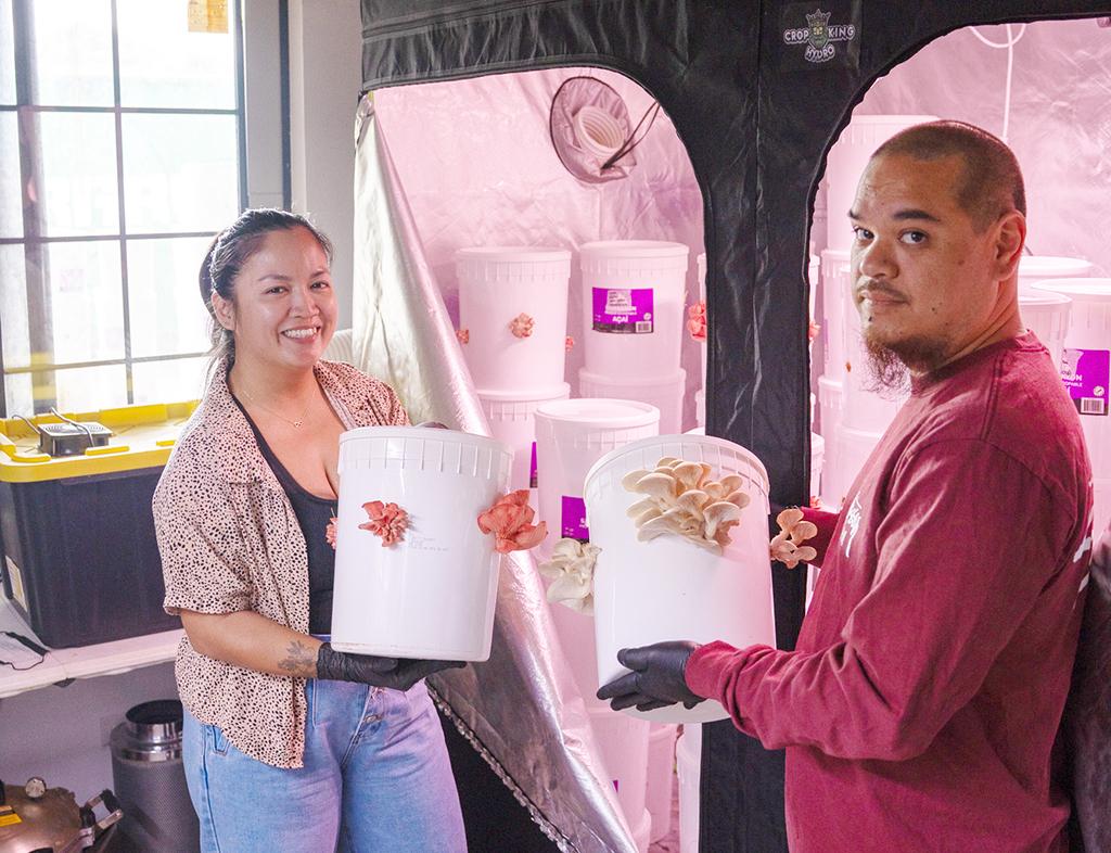 Mushrooms, martial arts and more: businesses in Guam evolve and expand