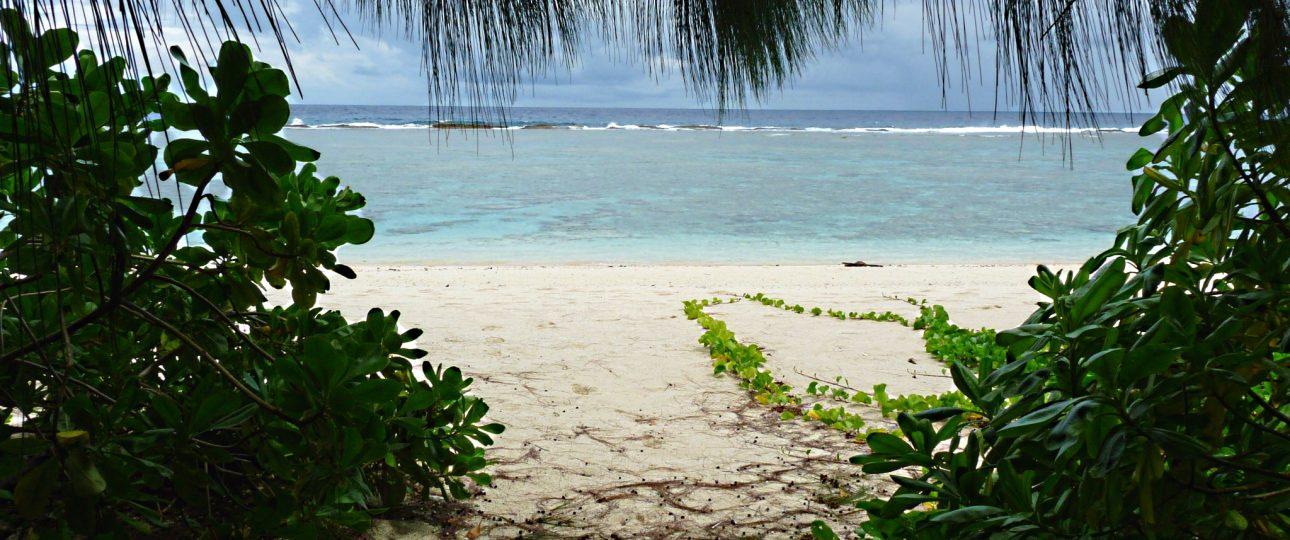 Center files FOI request, Ninth Circuit rules on Guam case