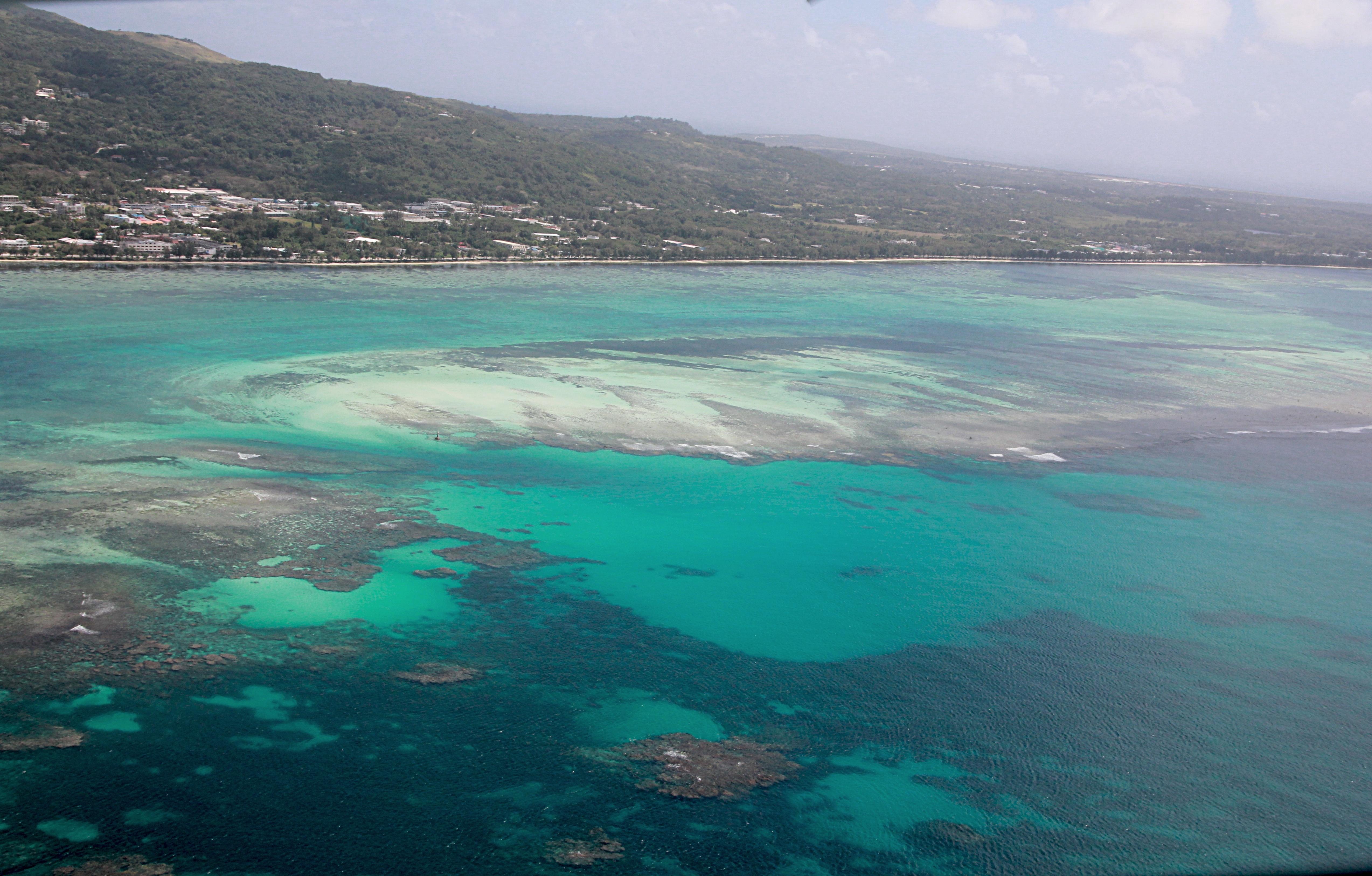 Tourism numbers, an airport initiative and a novel idea