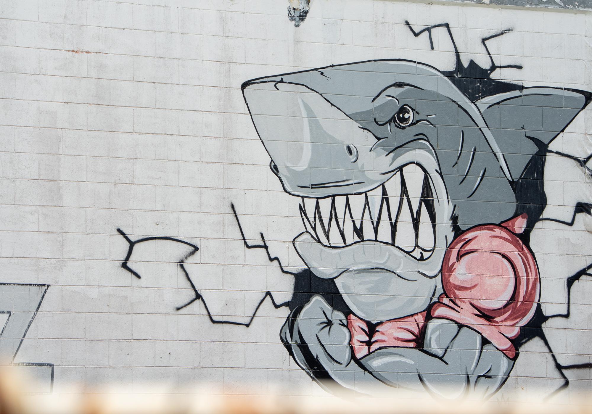 General Pacific Services files procurement protest, Sanchez build halted 