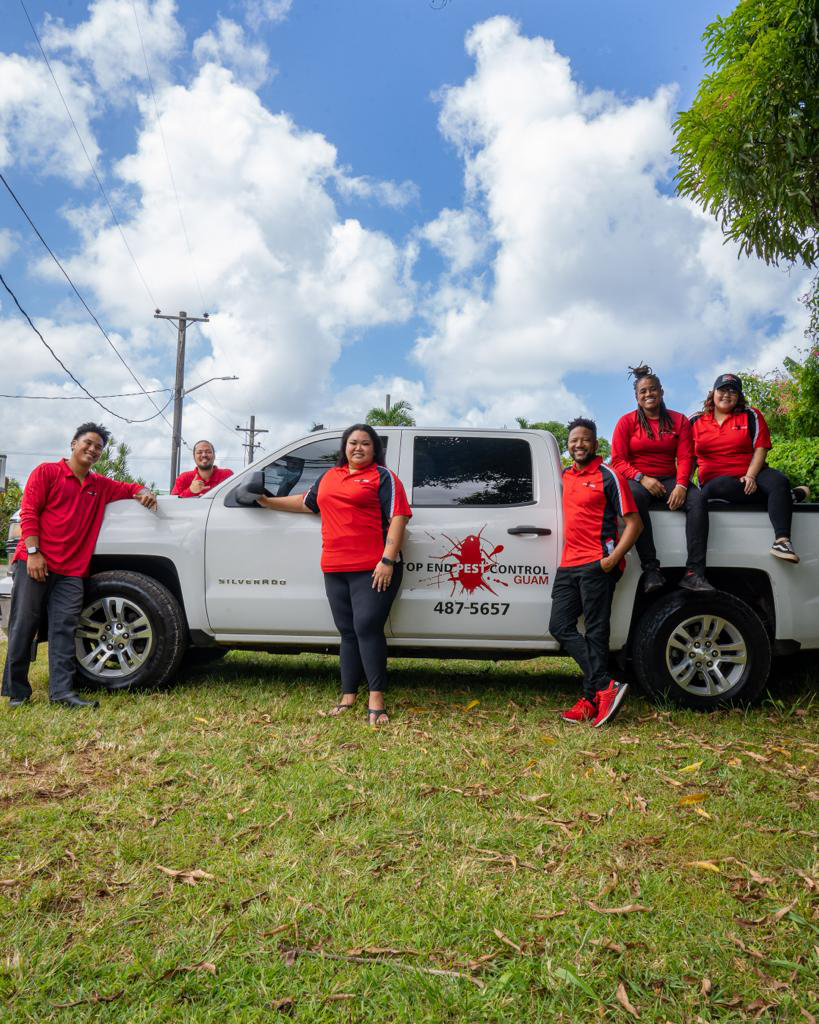 New food delivery service, new pest management, & new location on Guam