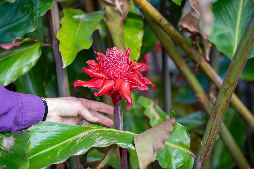 Original ideas: Businesses bloom and knock your socks off